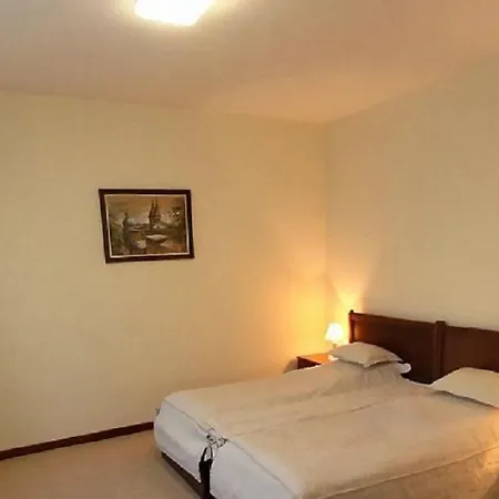 Hotel Sahat